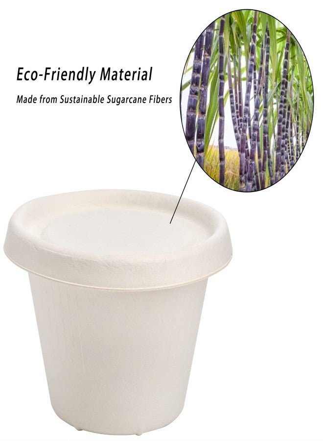 SOUJOY 100 Pack Disposable Cups with Lids, 4.5Oz Bagasse Compostable Ice Cream Cup, Small Condiment Portion Sample Container for Sauce Salad Dressing or Souffle - Image 3